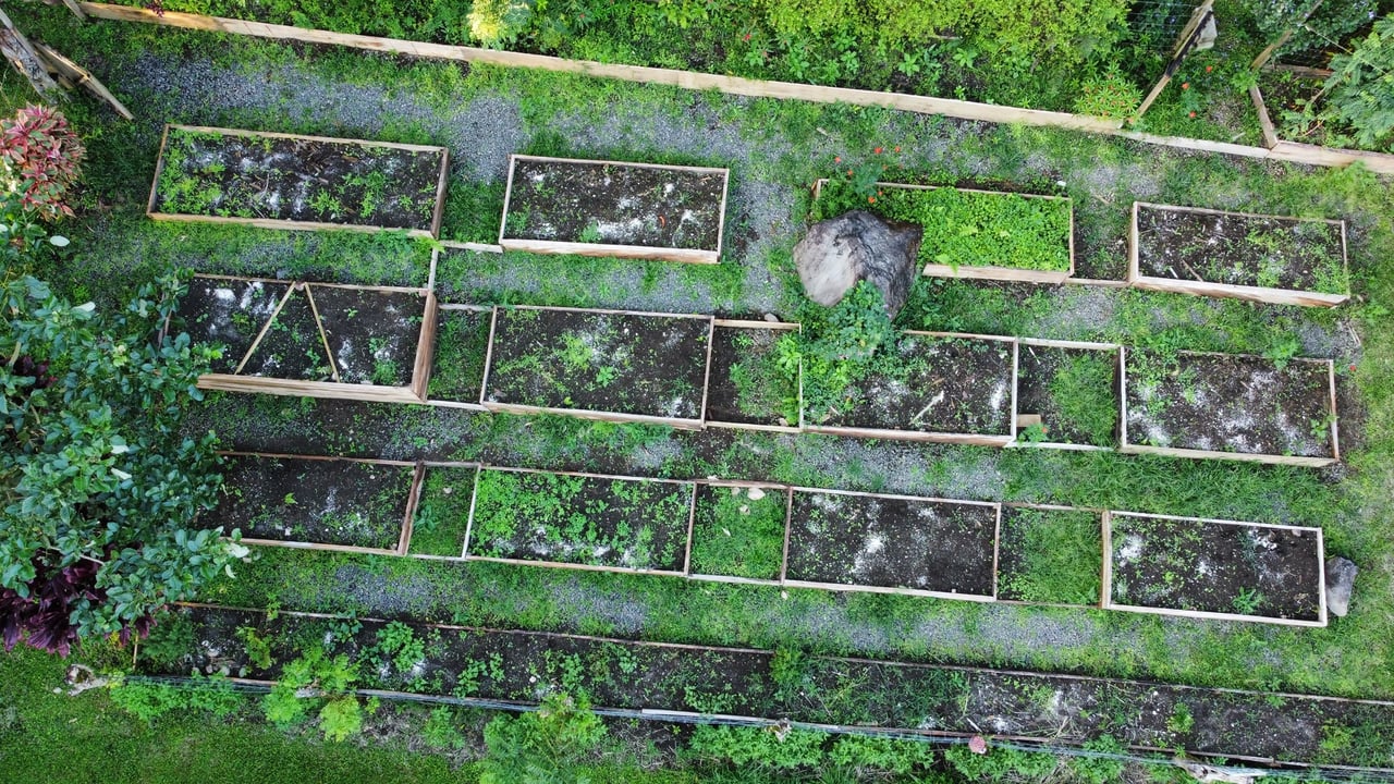 Organic Sustainable Lakefront Farm, Lake Arenal, Alajuela
