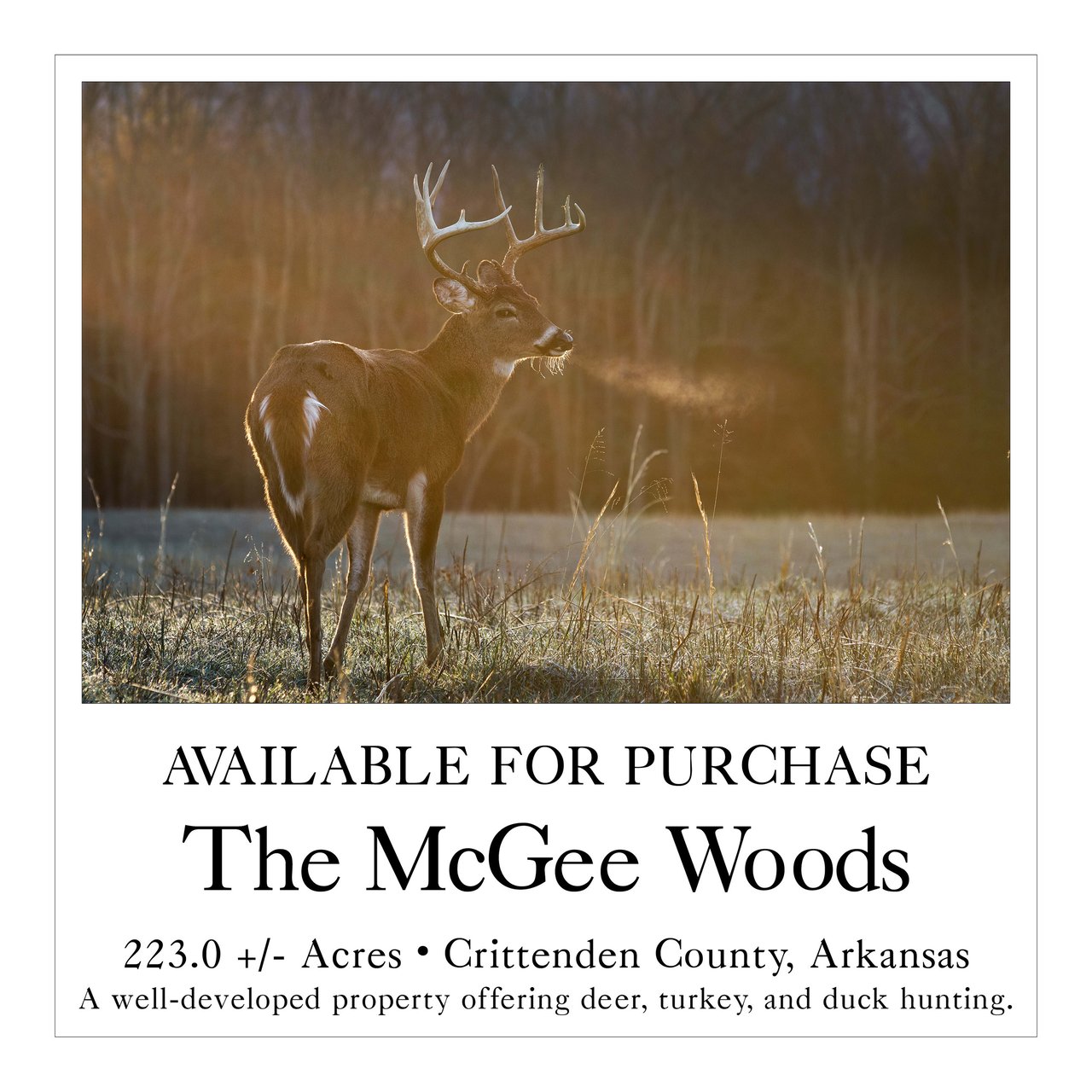 McGee Woods