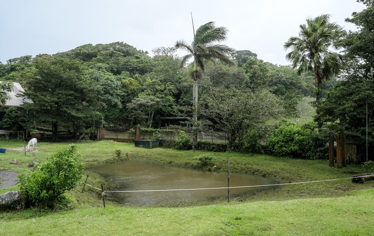 Main Road Commercial Property, Lake Arenal, Alajuela
