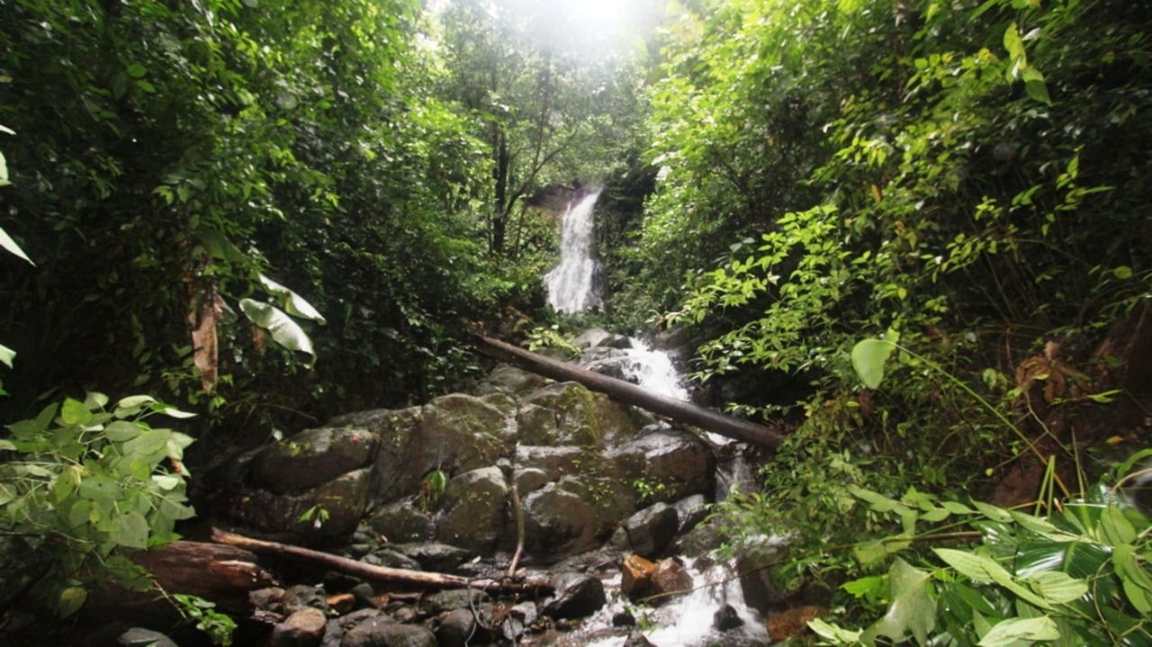 Waterfall Riverfront View Land, Uvita, Puntarenas