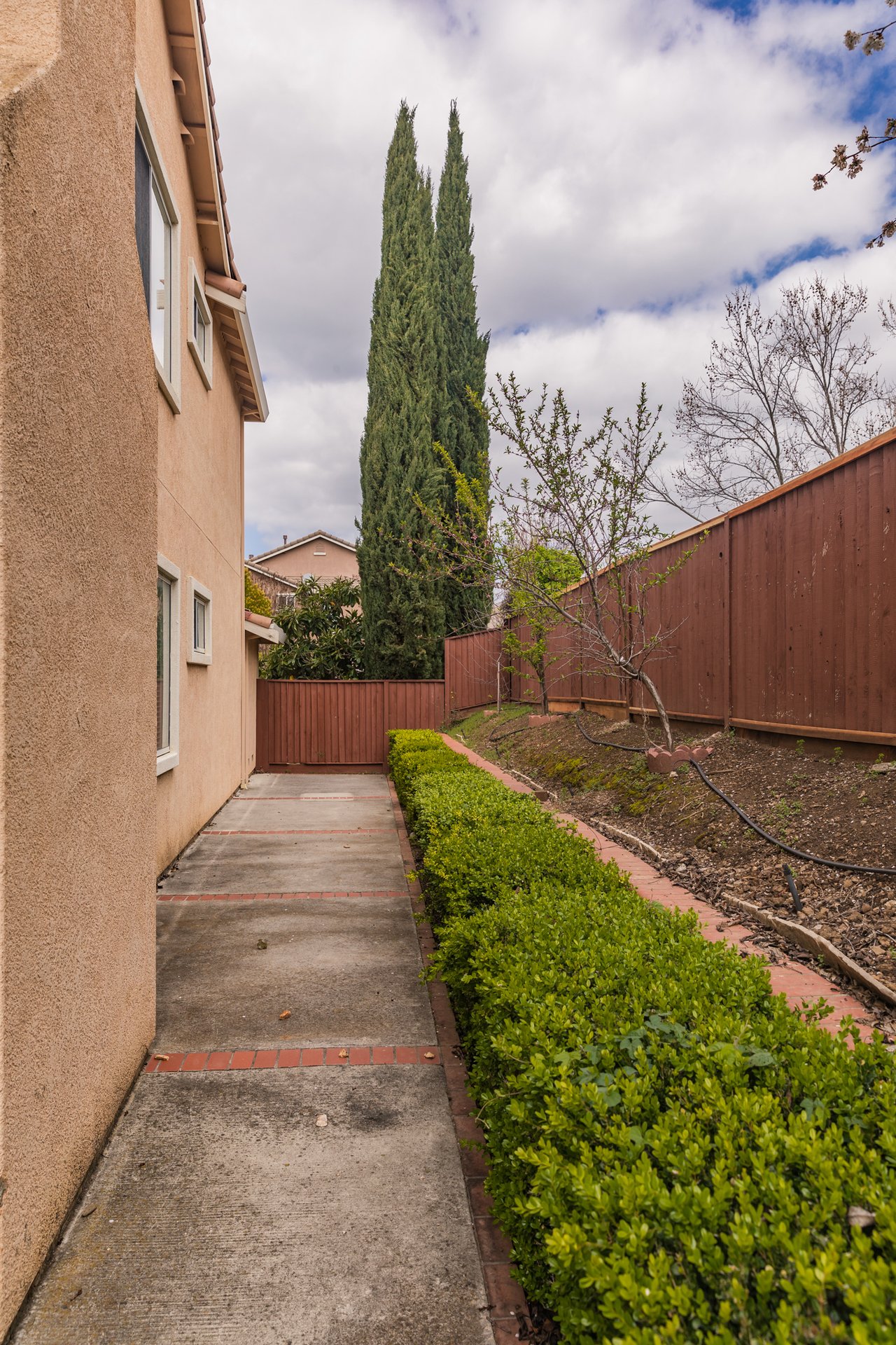 Exclusive Evergreen Home