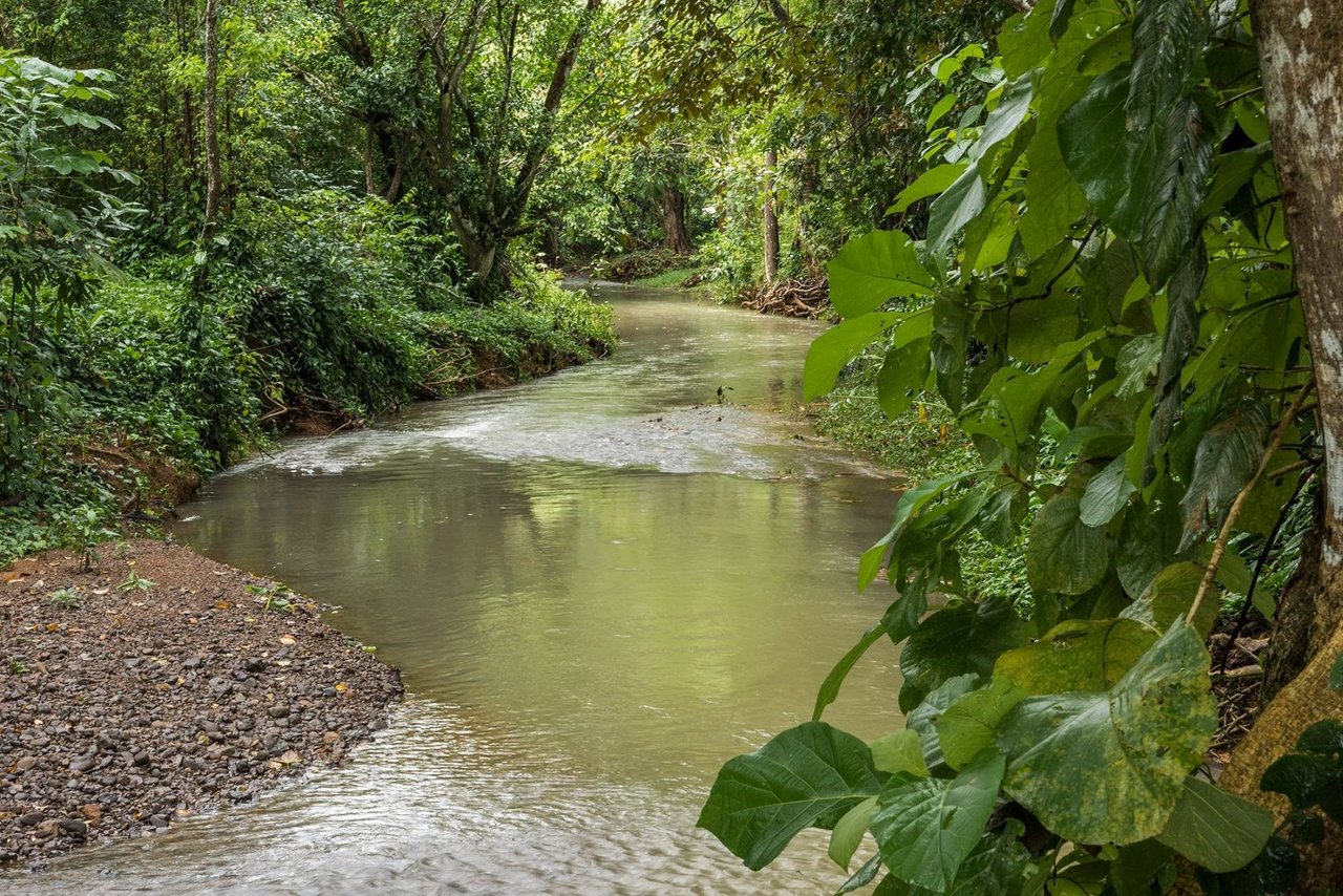 Beachfront Development Land, Dominical, Puntarenas