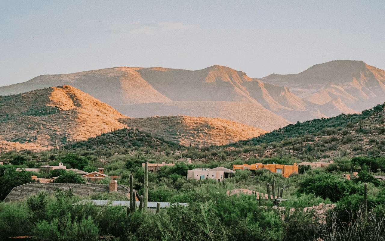 Phoenix Living: Balancing City and Nature