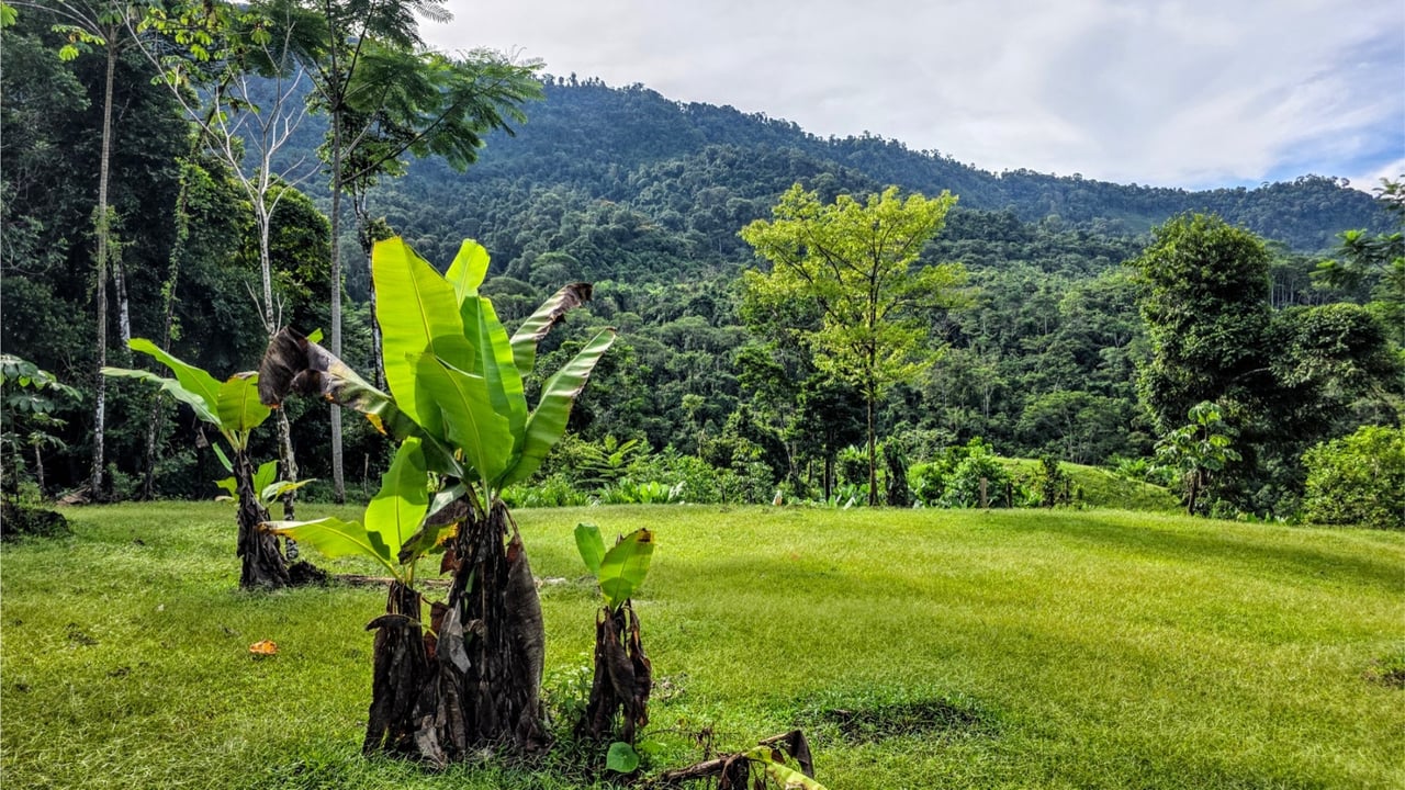 Rainforest Waterfall Acreage Estate, Dominical, Puntarenas