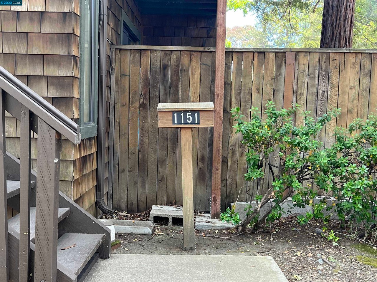 1151 Honey Trl