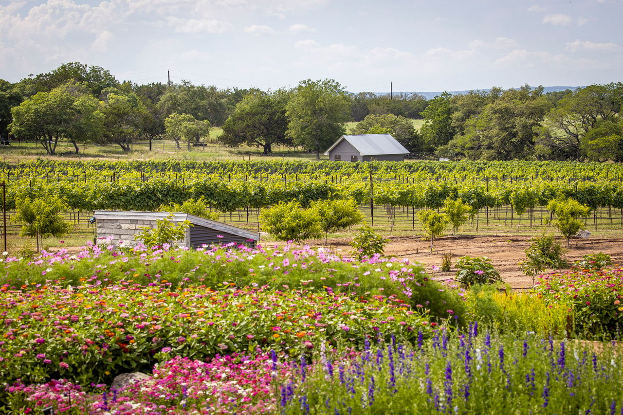 A field of colorful wildflowers stretches towards a red barn in the distance.