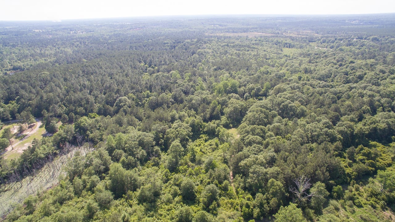 32331 Carey Smith Rd