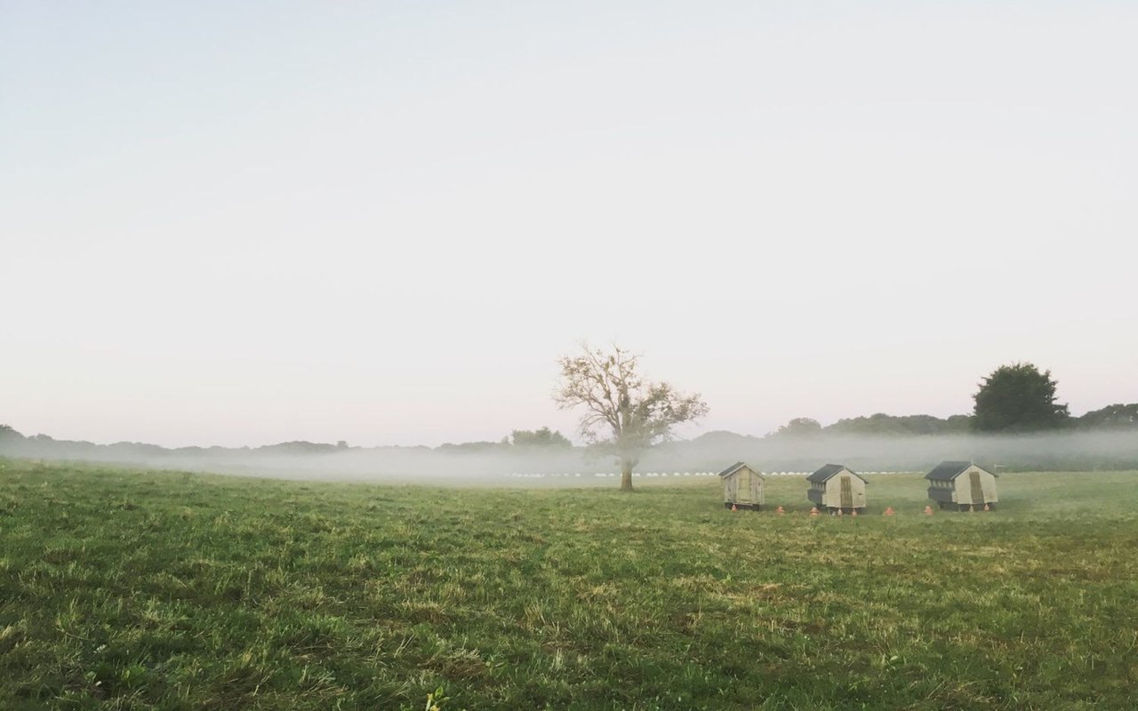 THE GREY BARN AND FARM