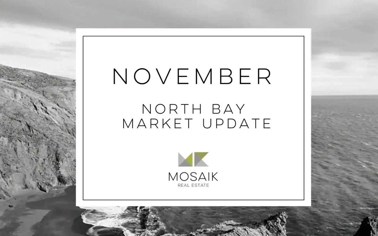 The Local Lowdown: November 2022