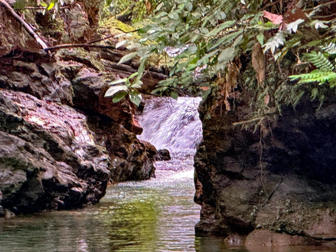 Riverside Jungle Acreage Estate, Ojochal, Puntarenas