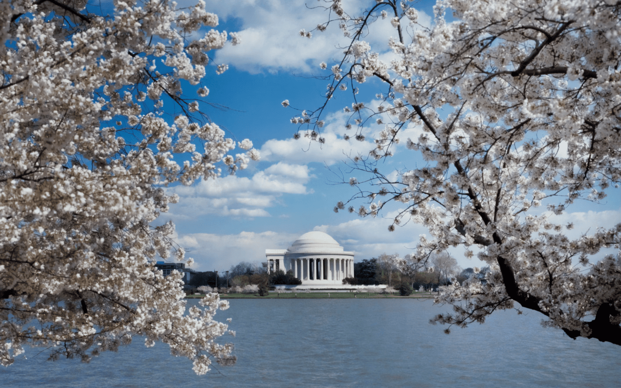 Living in Washington, DC