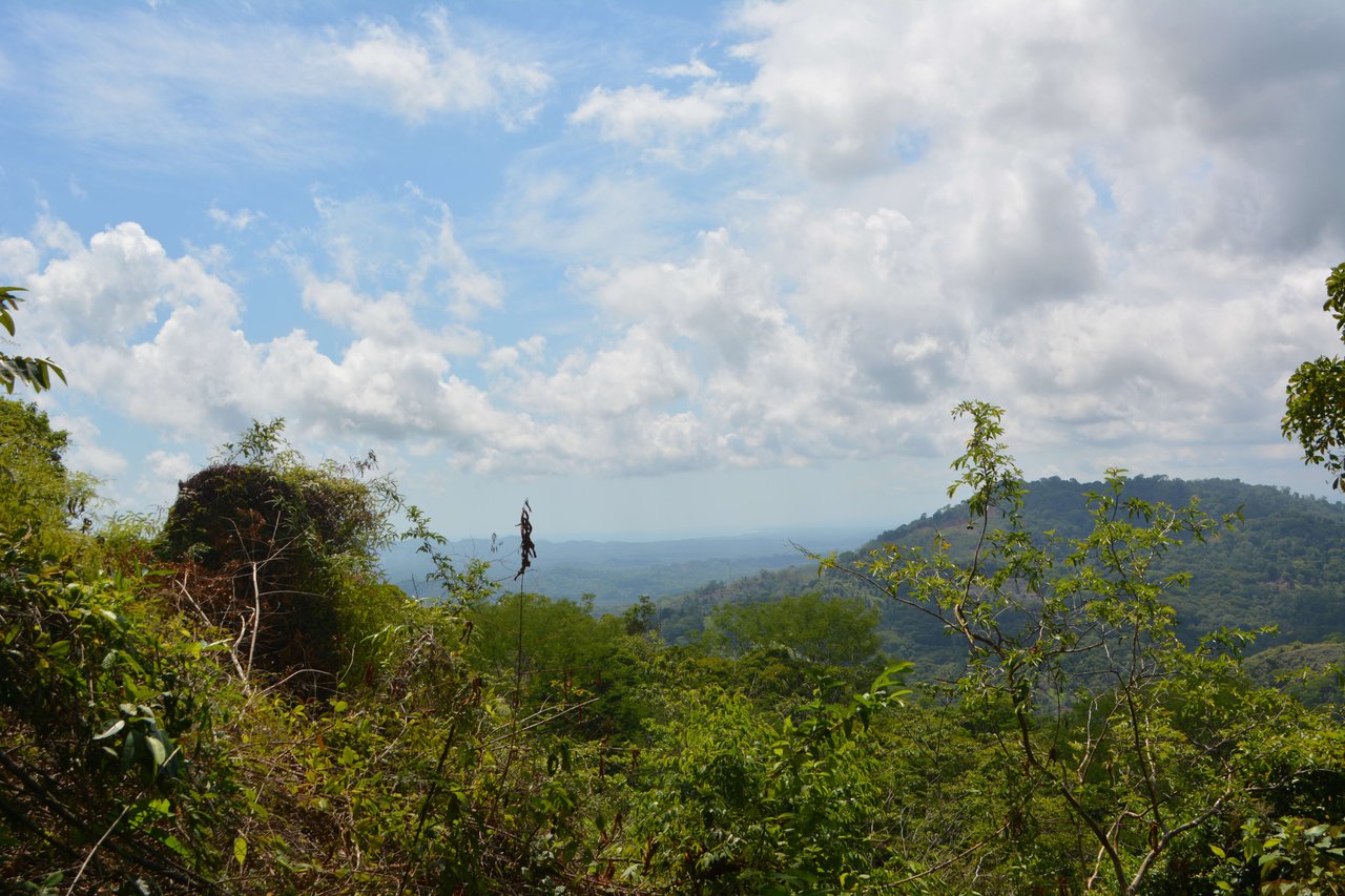 42 Acres With Waterfalls, Ocean Views & Multiple Building Sites Sliencio Ariba