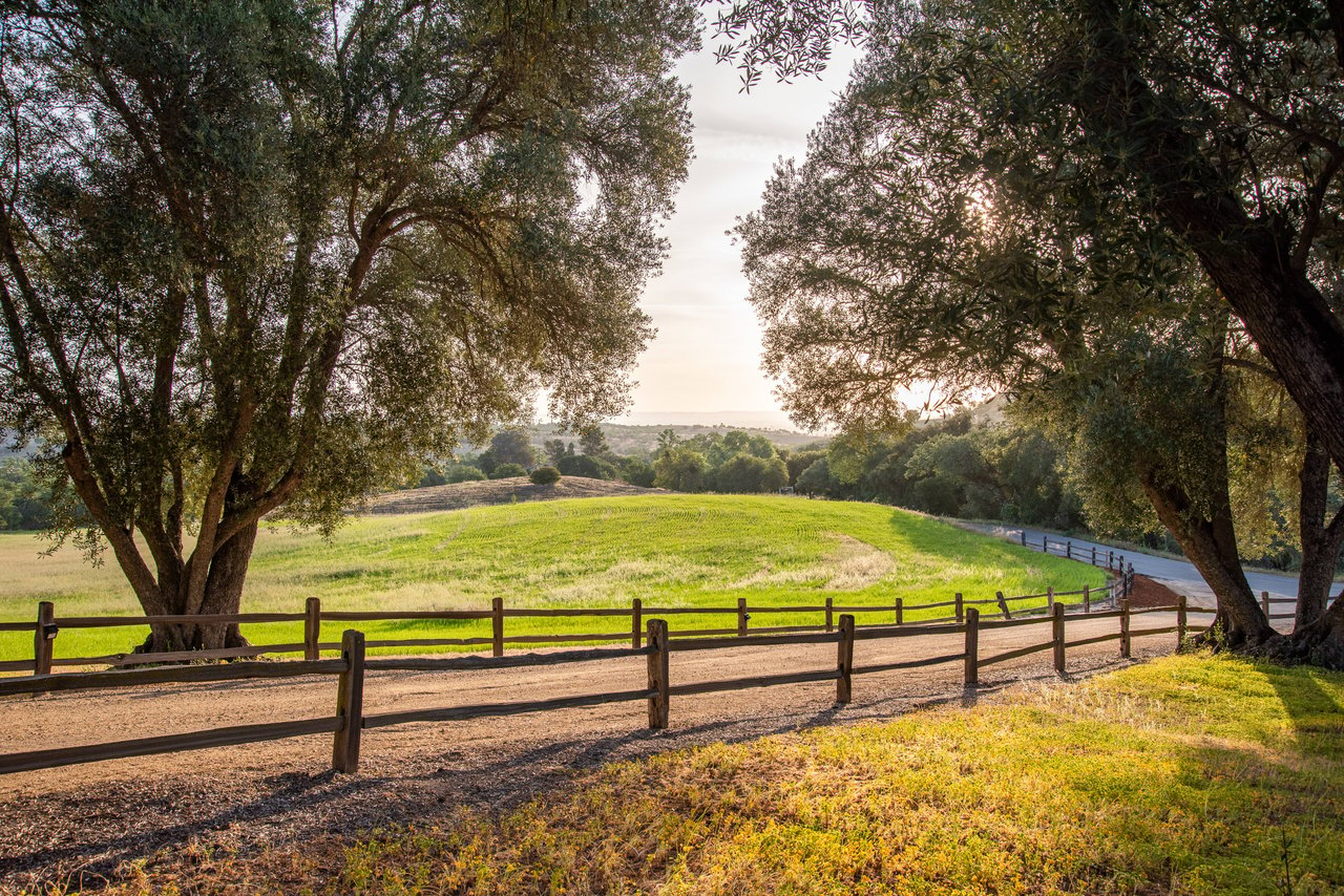 Paso Robles Paradise