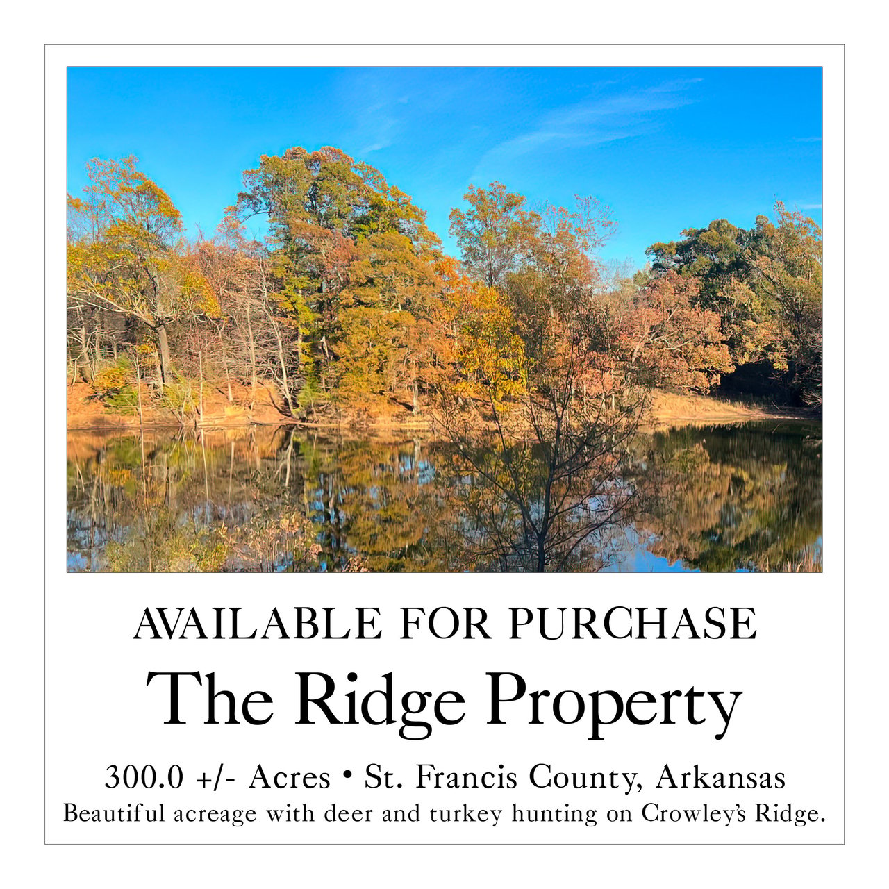 The Ridge Property