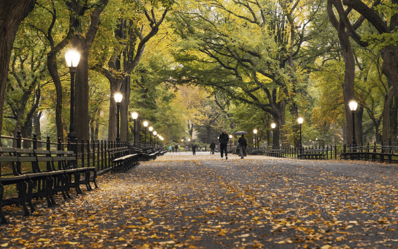 Discovering the Charms of the Upper West Side