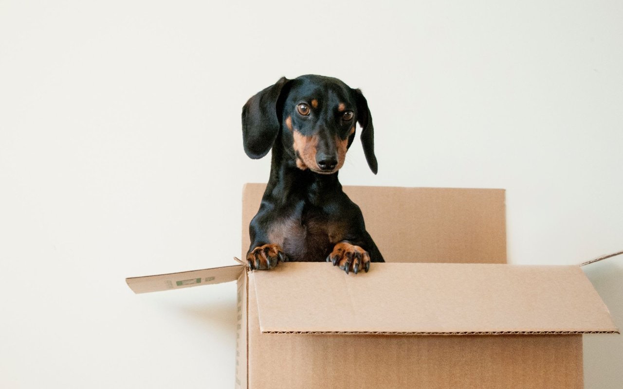 Amazon’s Hq2 Announcement Is Imminent. Here’s a Look at the Final Contenders, Including Denver