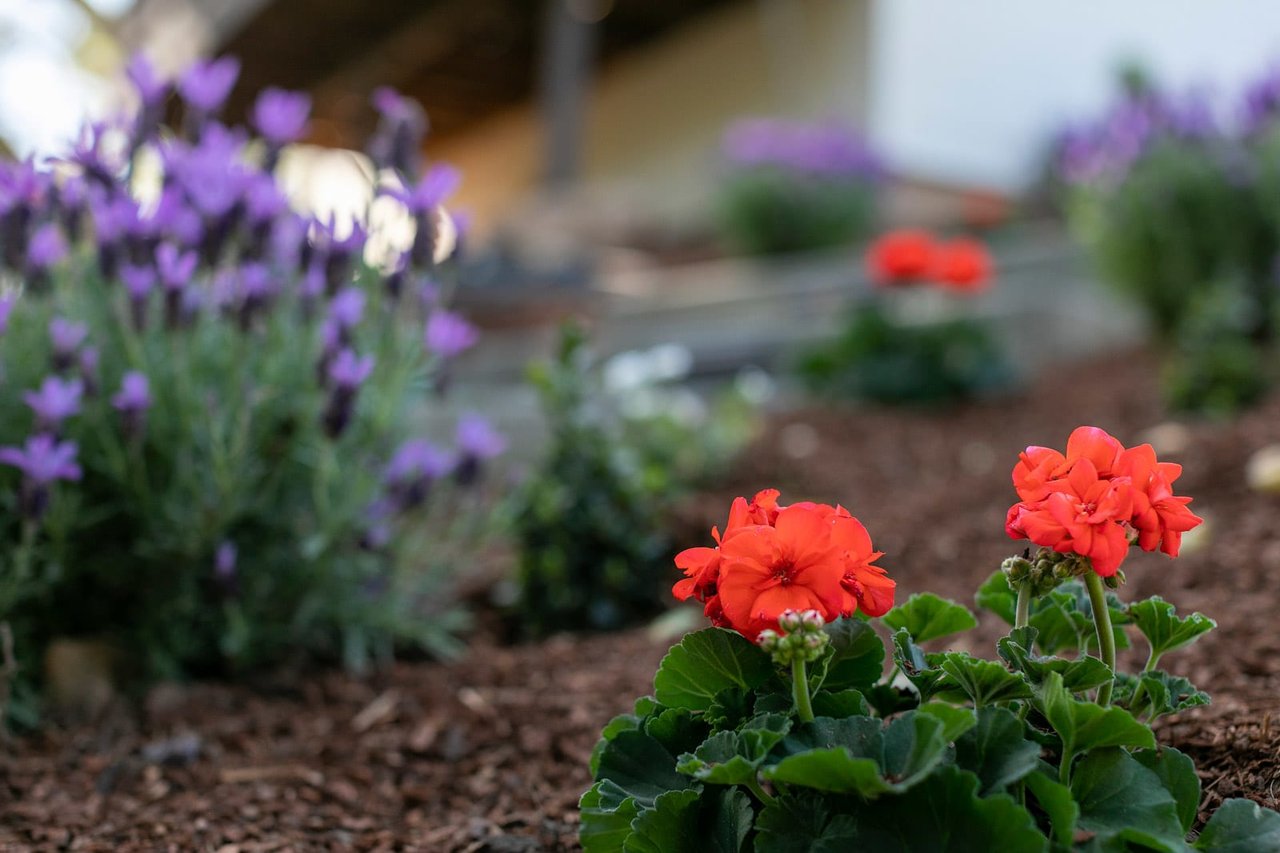 53 Monterey Ave, San Anselmo