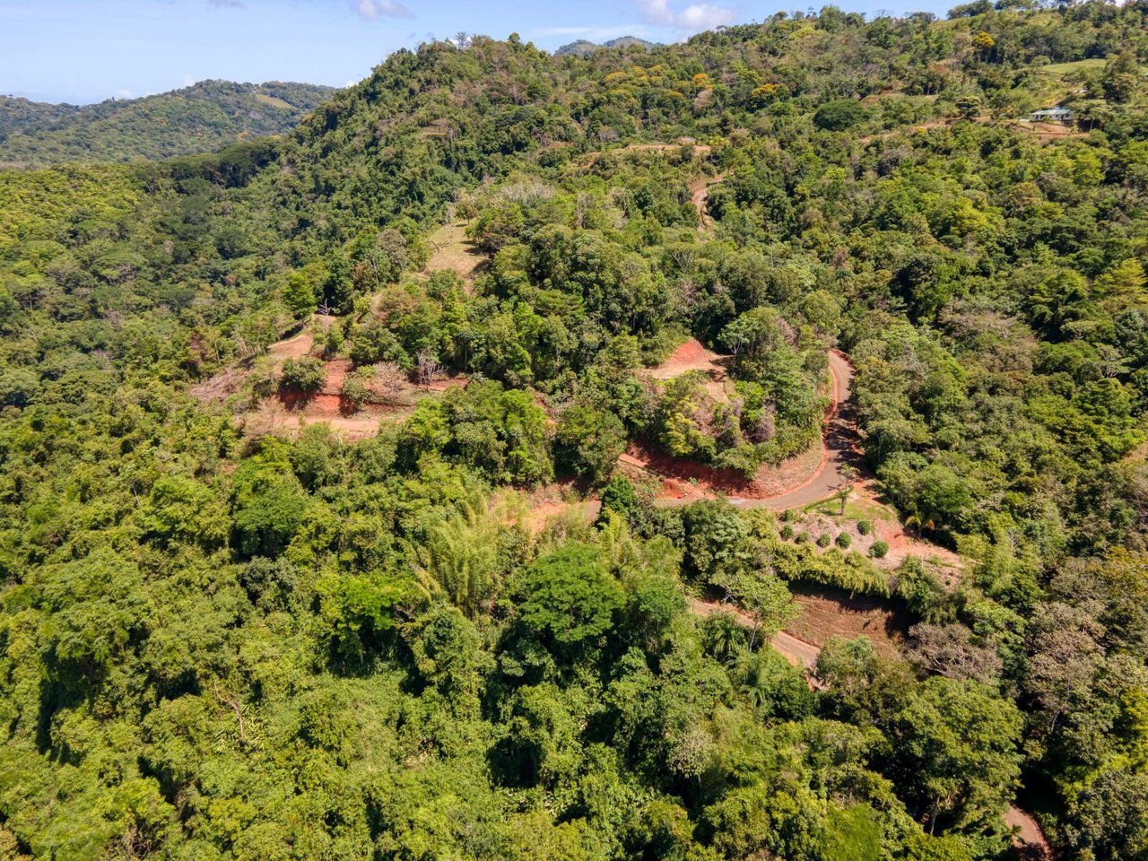 Waterfall Ocean View Land, Dominical, Puntarenas