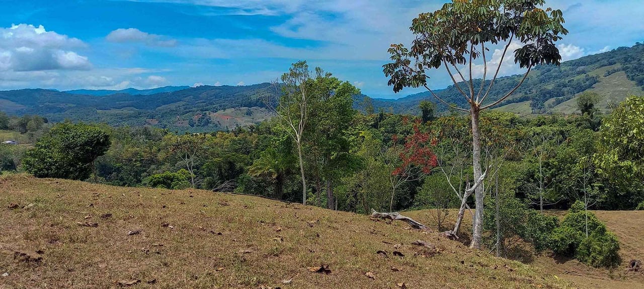 84 ACRES RIO MORENOS VIEWS OF THE PACIFIC 