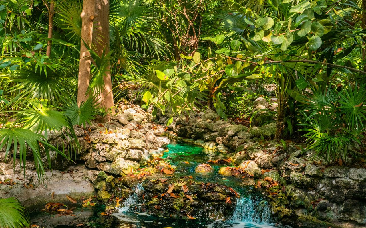Bait Shack Estate