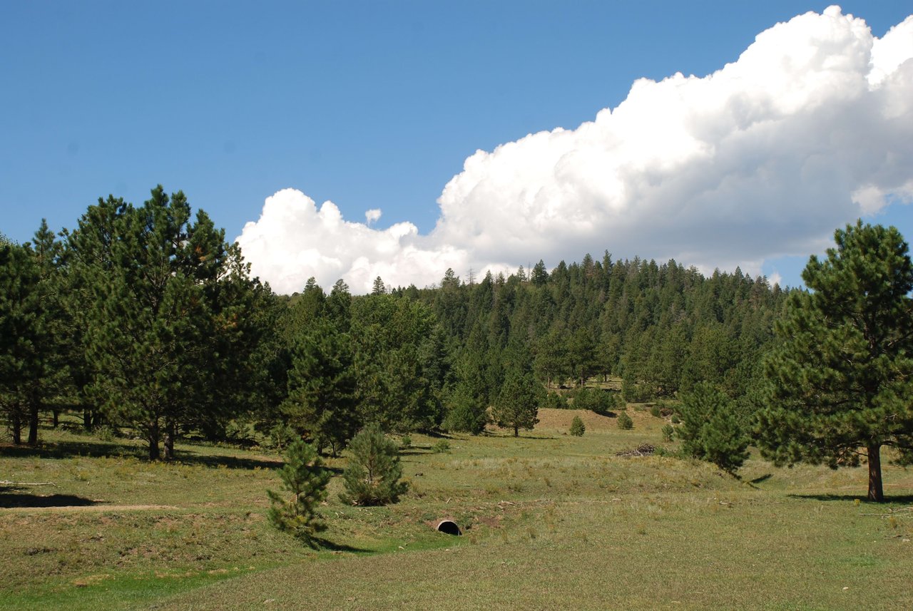 Elk Mountain Ranch