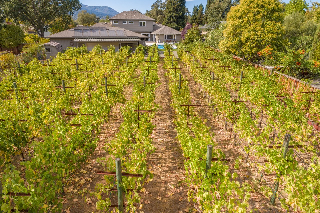 Los Palos Street, Sonoma