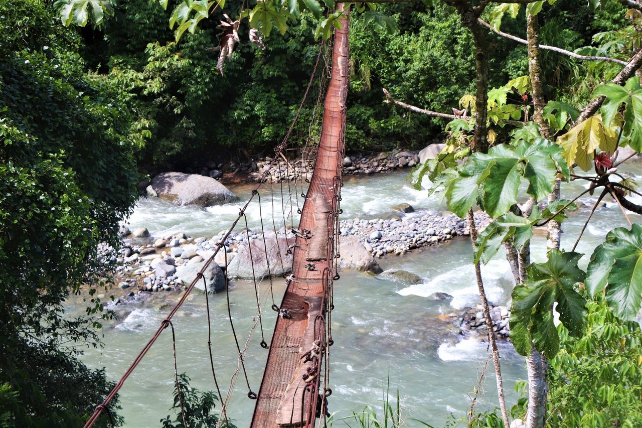Riverfront Forest Farm, Perez Zeledon, San Jose