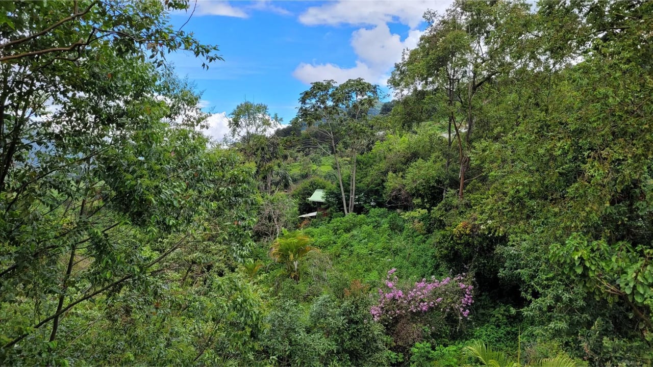 Mountain Retreat with Guest Cabin, Perez Zeledon, San Jose