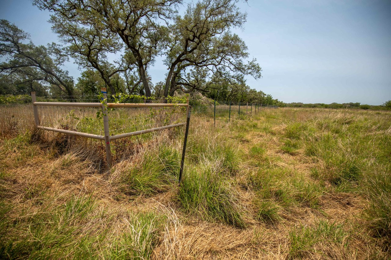 Green DeWitt Rd | 40.82± Acres | DeWitt County