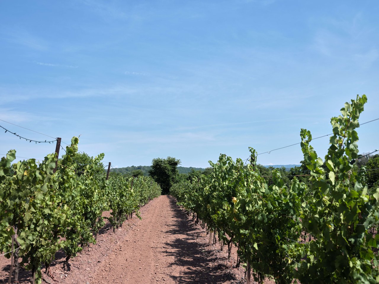 Sand Castle Winery | Bucks County, PA | $4,500,000