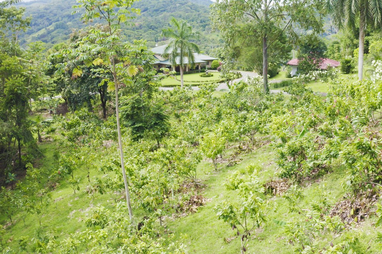 Country Club feel Oasis surrounded by Mountains