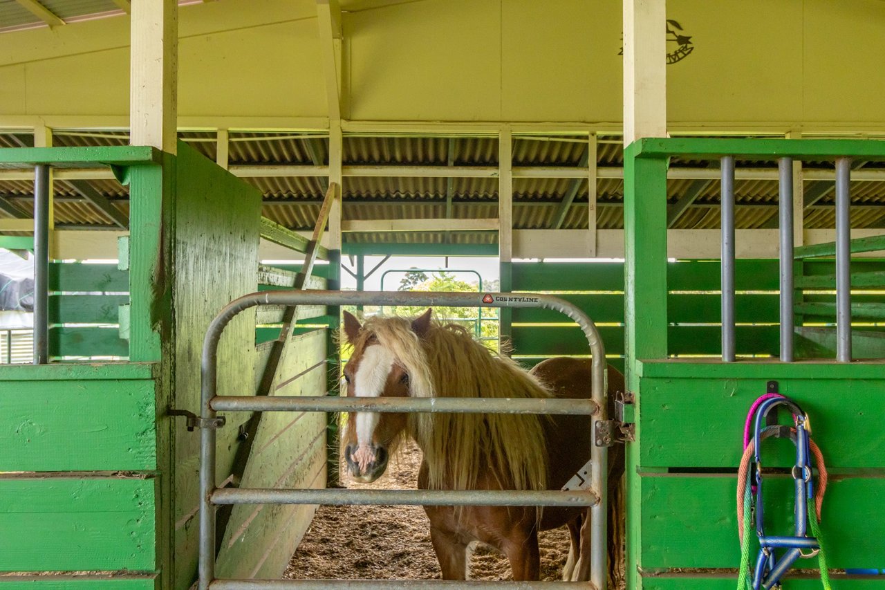 Hakalau Ranch