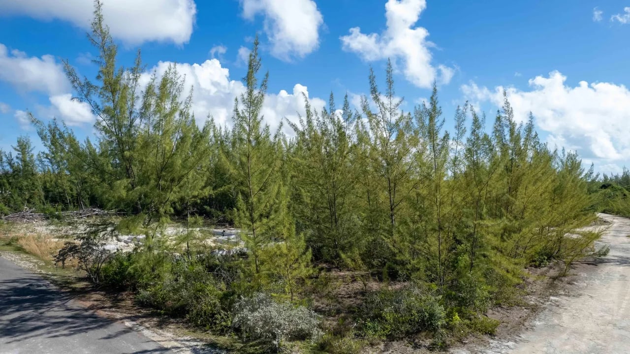 Single Family Lot in Southern Seas