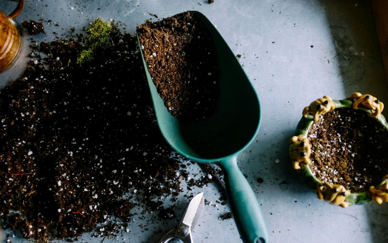 The Role of Landscaping in Boosting Your Home's Aesthetic Appeal