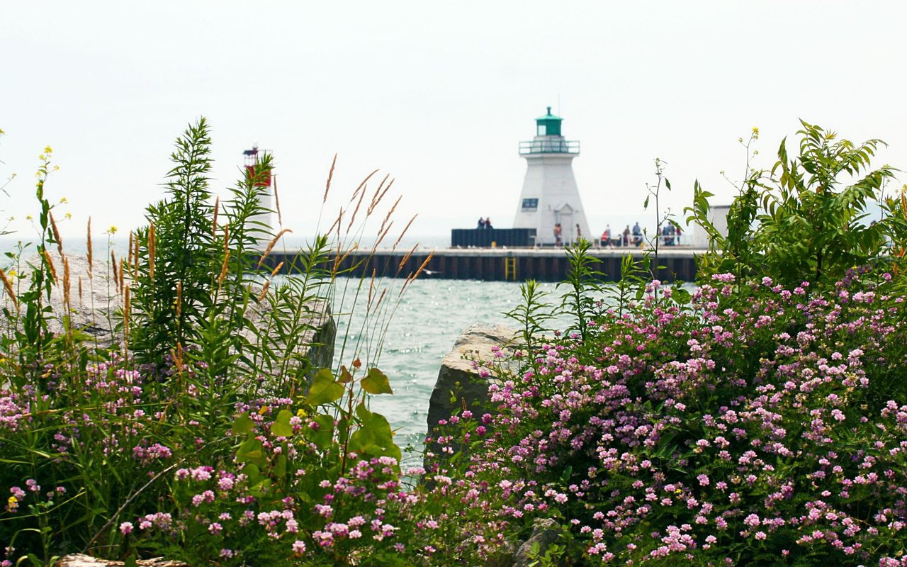 Port Dover