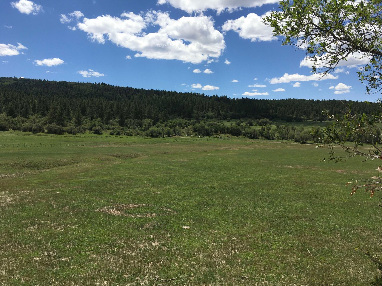 Southern Colorado Riverfront Mountain Ranch