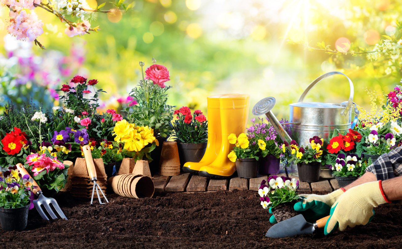 15 Home Spring Maintenance Tips