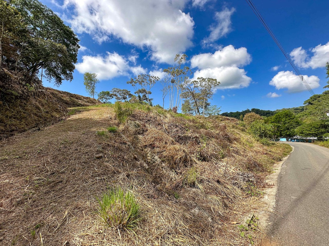 An elevated 1.2 acres lot with two plantels, panoramic mountain and jungle views.