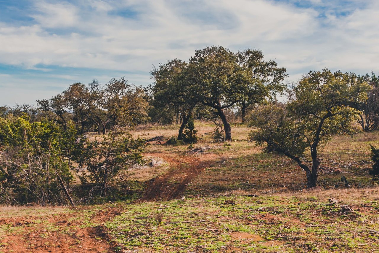 Cuatro Colinas Ranch