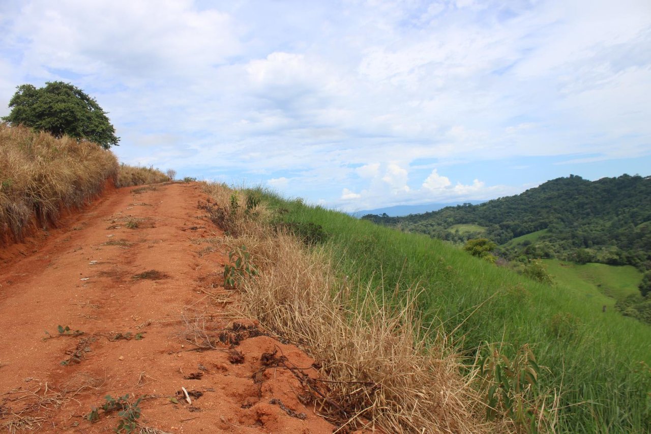 Developer's Dream Parcel With Panoramic Ocean View