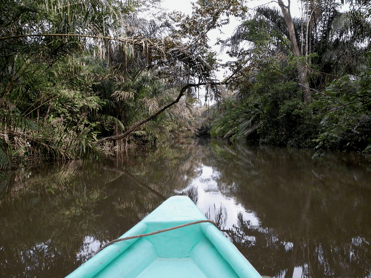 382 Acres of Sierpe River Wild Lands