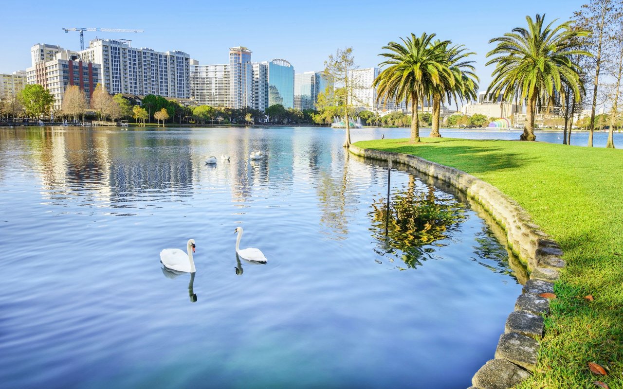 Two white swans glide on the calm blue water