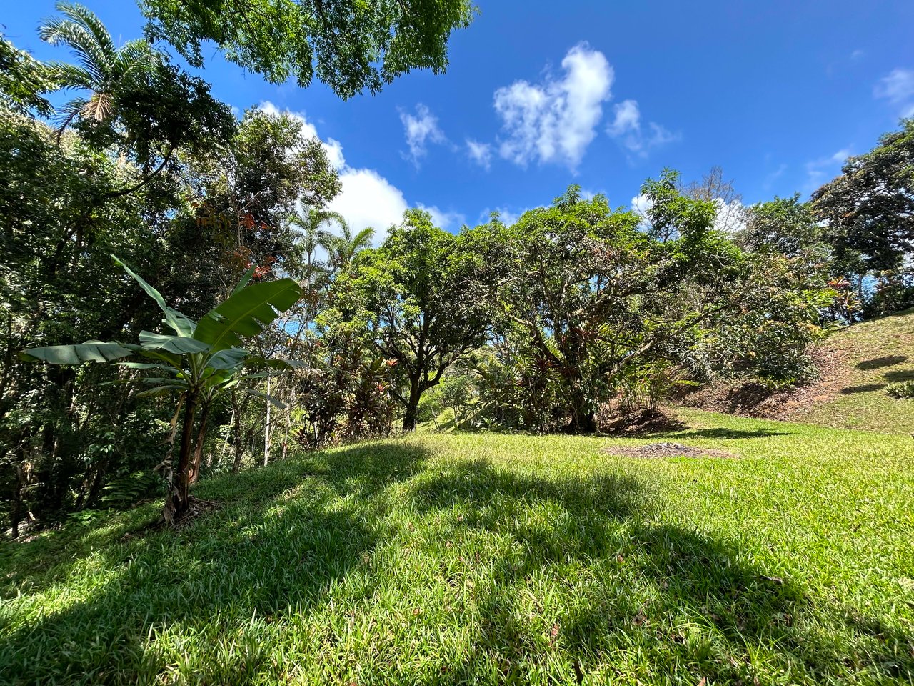 Casa La Luna, Cozy Home in Platanillo on 8 Acres of Land!