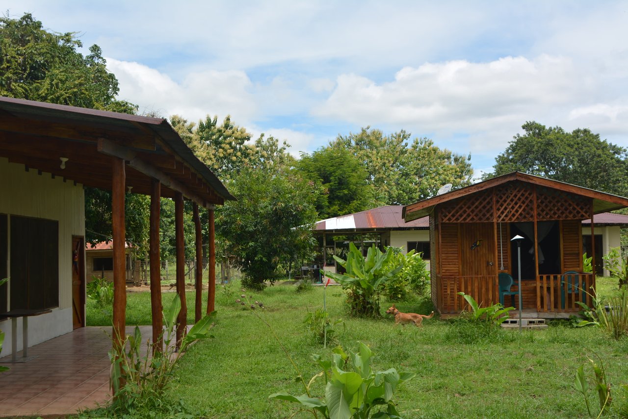 10 Acre Rio Sierpe Paradise Residential And Cabinas