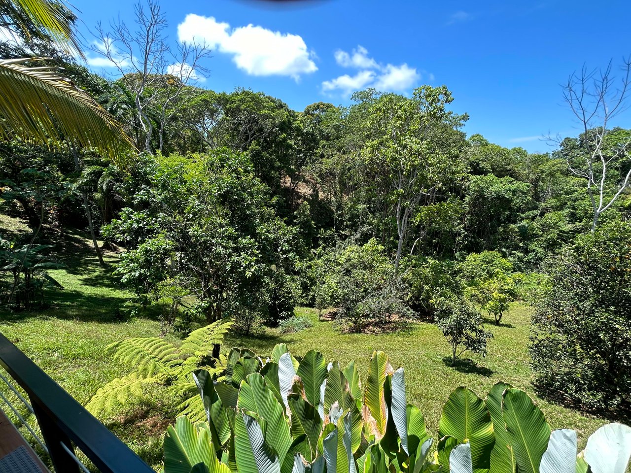 Casa La Luna, Cozy Home in Platanillo on 8 Acres of Land!