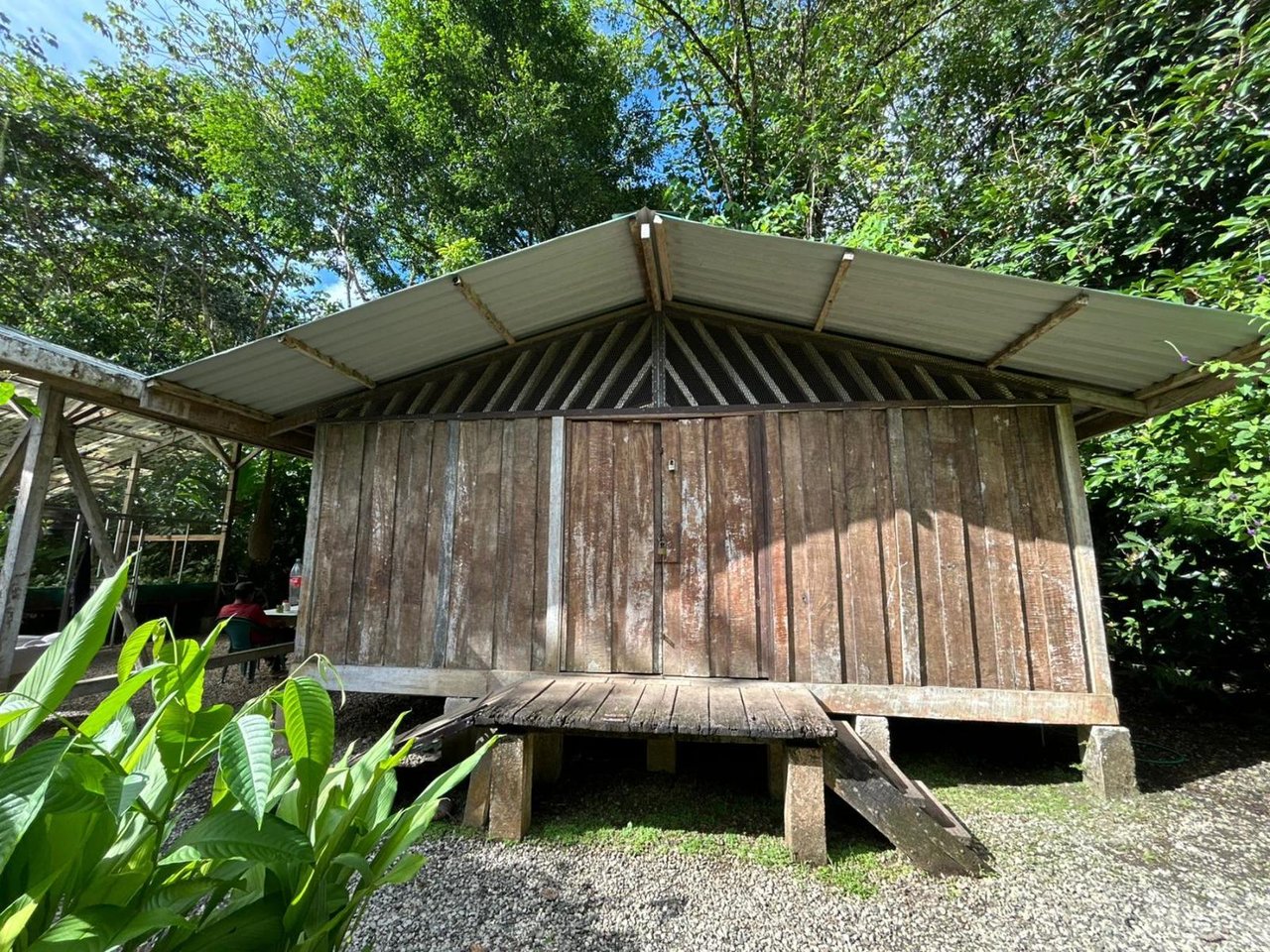 Sustainable Conservation Retreat, Osa, Puntarenas