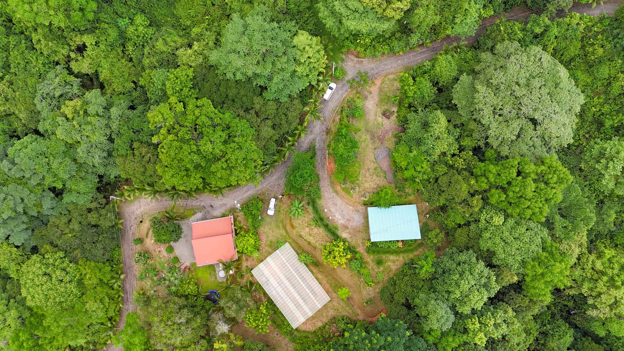 Multi-Home Luxury Estate, With Jungle, Mountain And Ocean Views, Private Waterfalls And Orchards On 71 Acres In Gated Community!