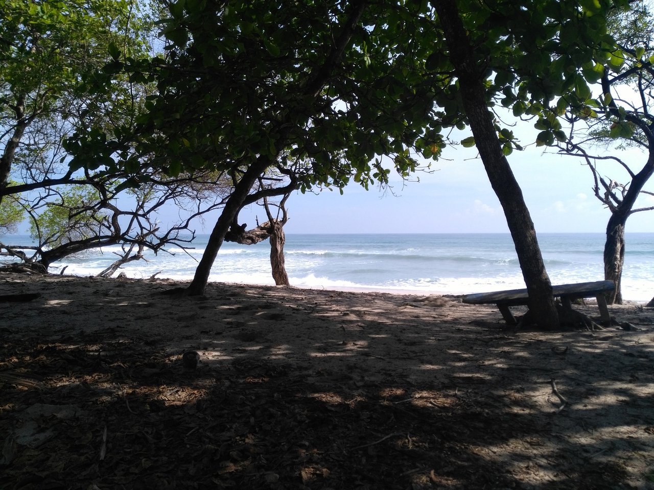 Private Secluded Beachfront Lot, Santa Teresa, Puntarenas