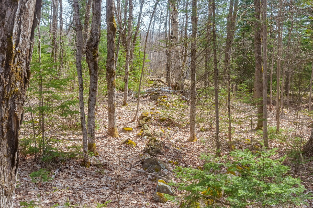 Fern Glen Road Round Lake 