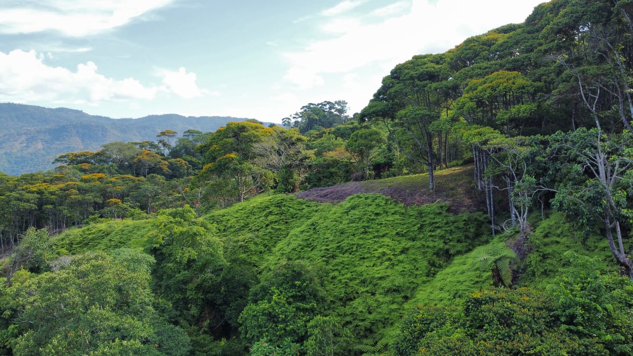 Ocean View Lot in the Exclusive Uvita Mountains. 